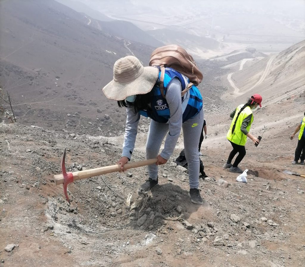 Apadrina Tu Tara: MML se suma a proyecto en Lomas de Primavera en Carabayllo