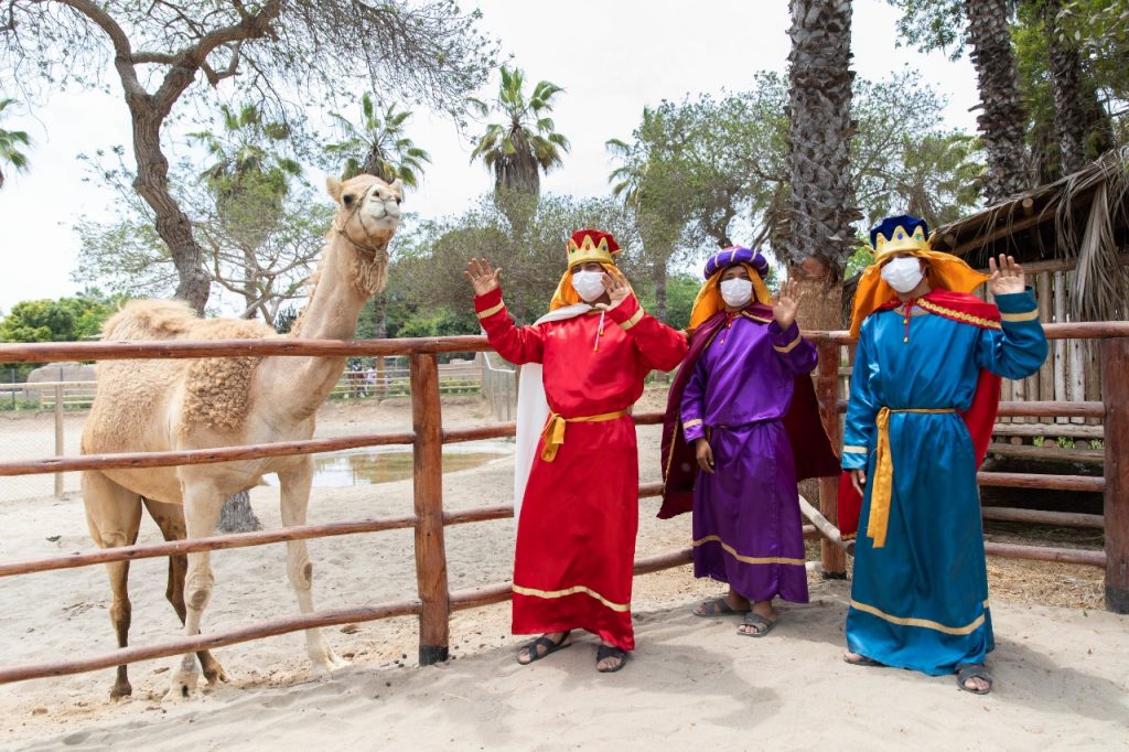 Reyes Magos engreirán a animalitos del Parque de las Leyendas