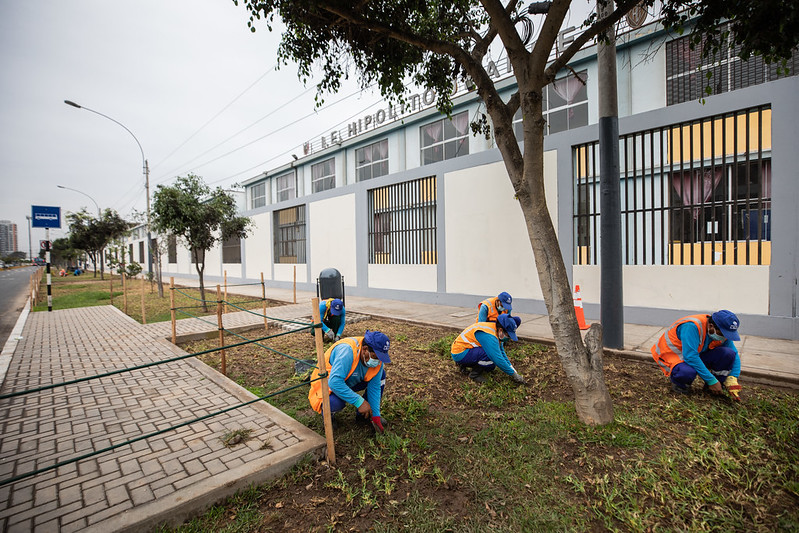 Clases Presenciales 2022: MML realiza trabajos de mantenimiento integral en colegios del Cercado