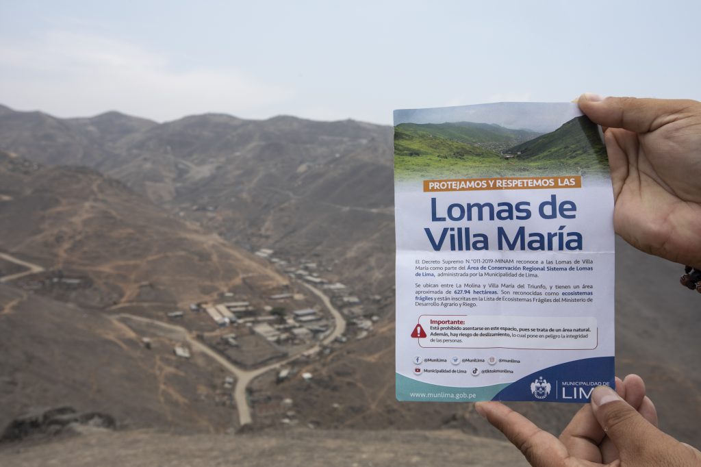 Salvando los ecosistemas: MML realiza acciones de protección y conservación de Las Lomas