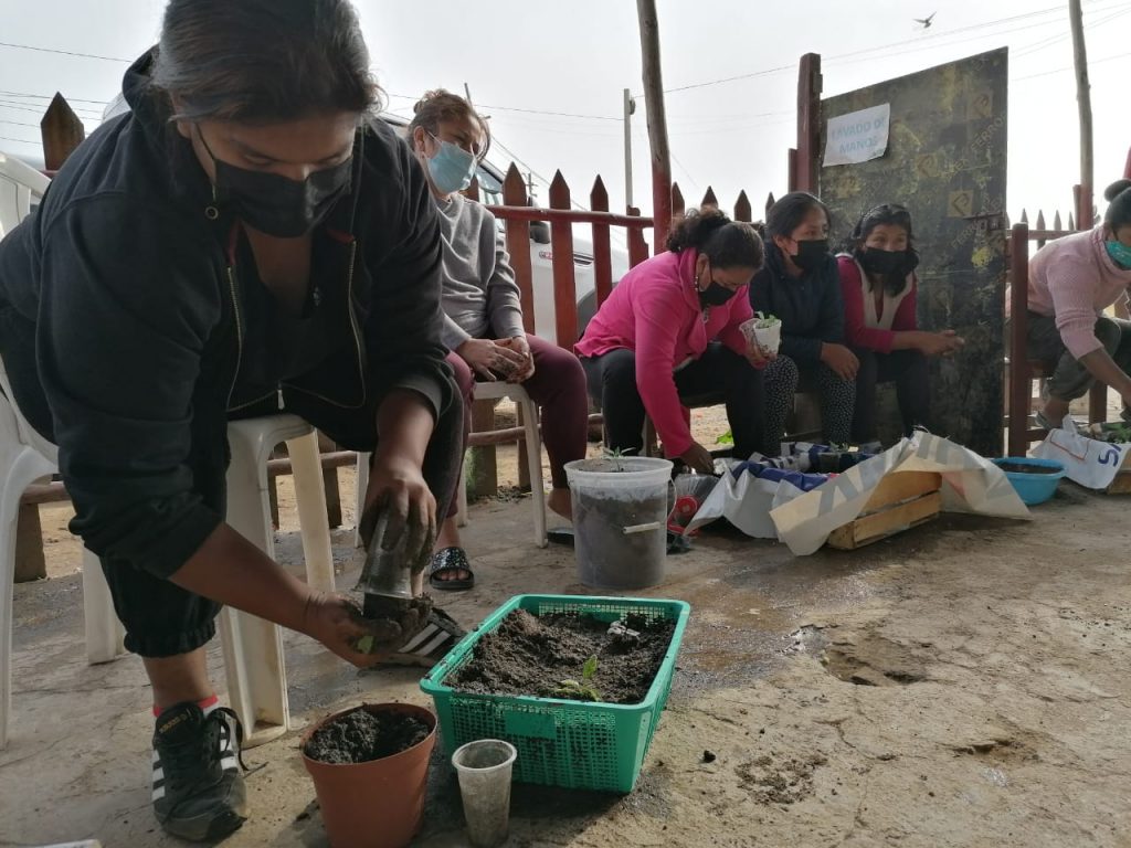 Más de 380 familias se beneficiaron con talleres de biohuertos gracias a material donado por el SAT de Lima