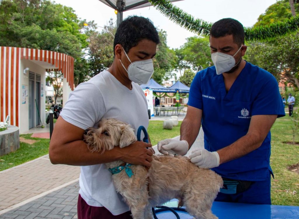 Municipalidad de Lima organizará séptima Feria para Mascotas con vacunas y atenciones gratuitas