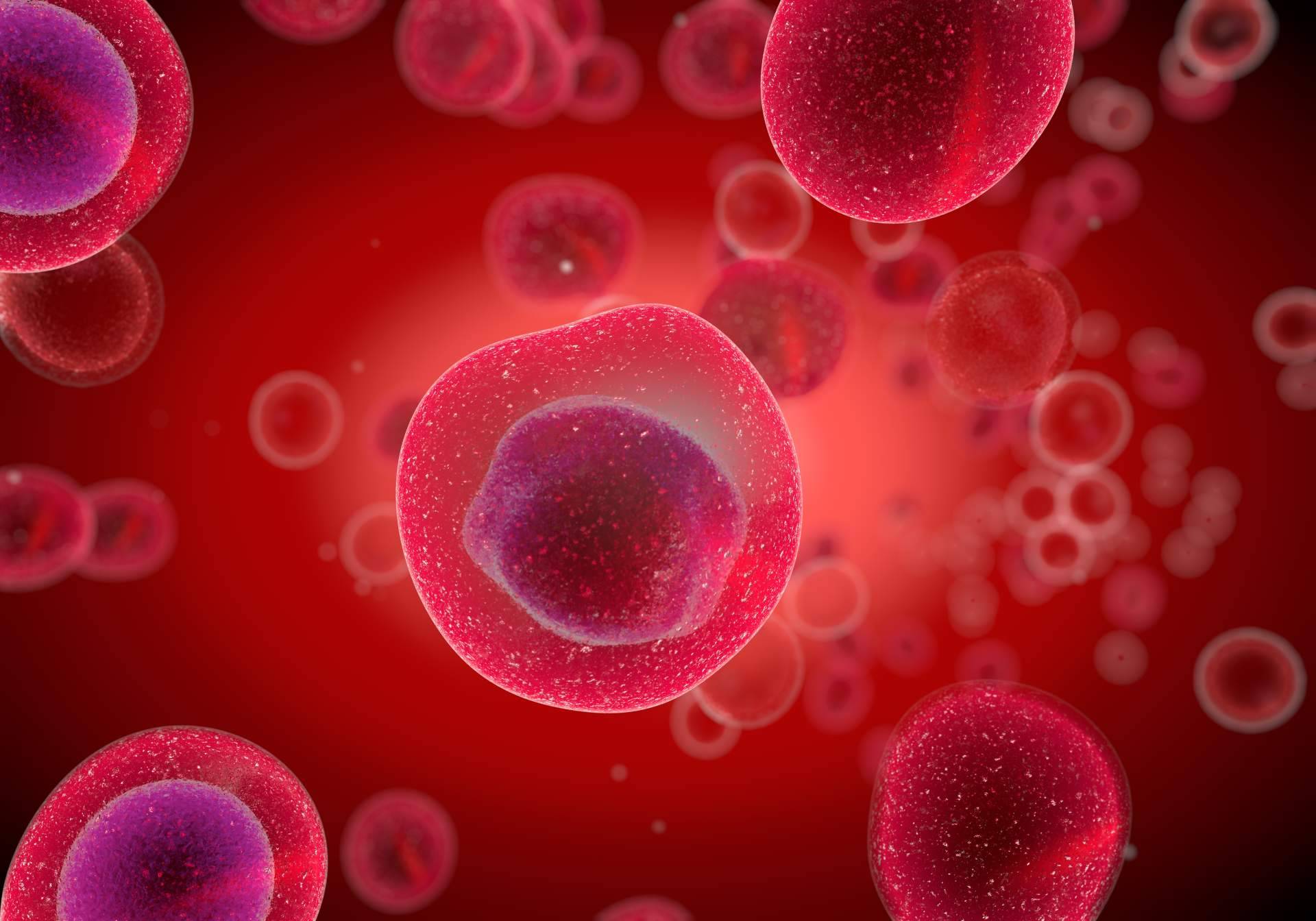 Todo el poder sanador de las células madre en Immunotherapy Regenerative Medicine