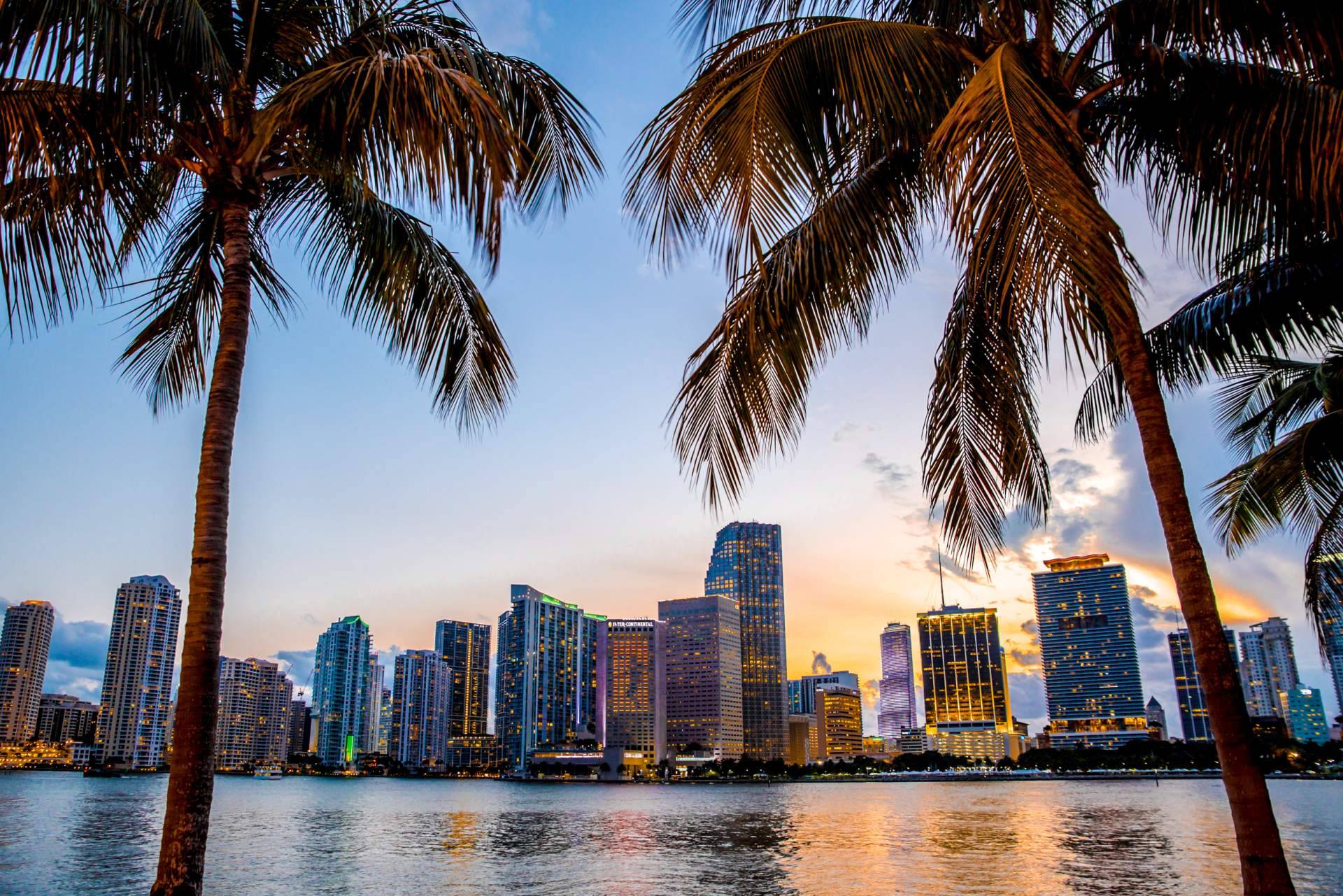 UTG Miami, inmobiliaria de referencia en Miami con una amplia variedad de apartamentos en preconstrucción